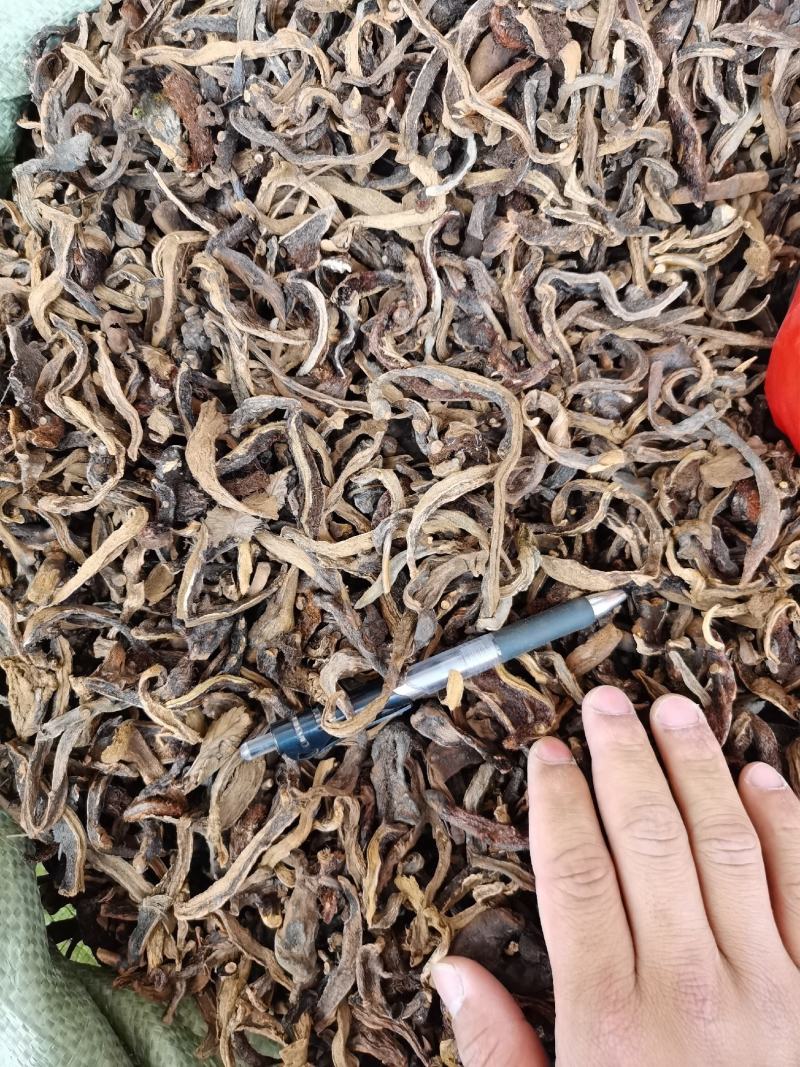 骨碎补抛光，干净，精选广西高含量骨碎补