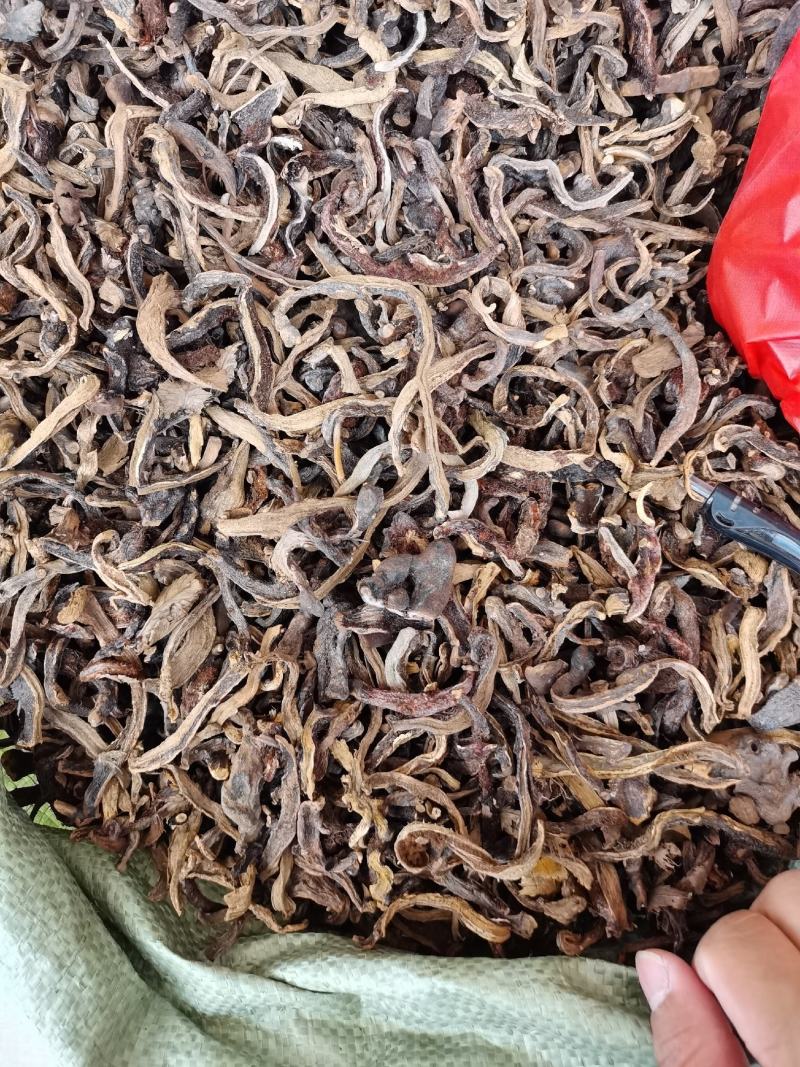 骨碎补抛光，干净，精选广西高含量骨碎补