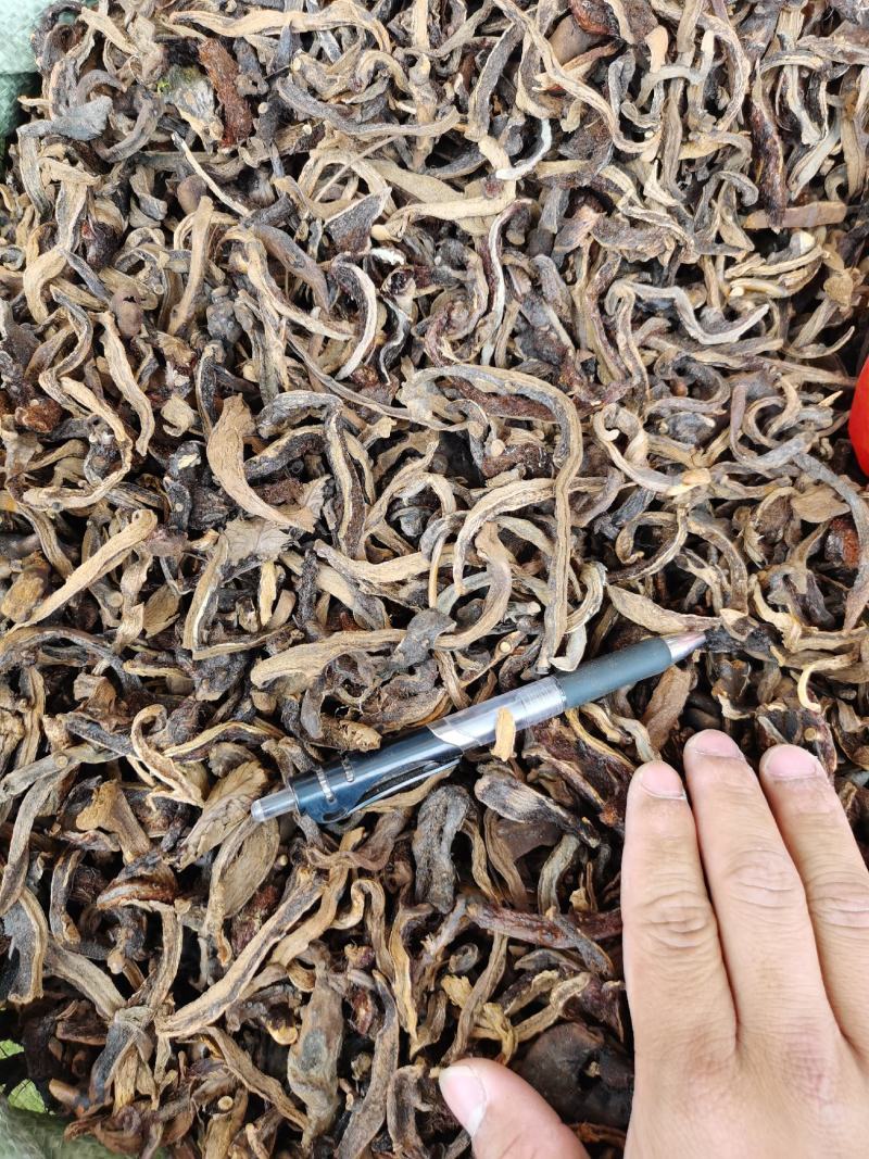 骨碎补抛光，干净，精选广西高含量骨碎补