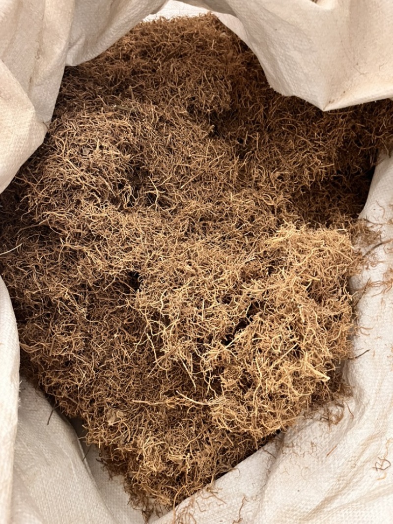 徐长卿产地直销质量保证正品中药材