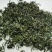 恩施富硒绿茶2022清明茶炒青本地品种芭蕉茶叶香浓耐