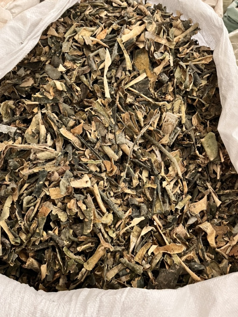 冬瓜皮产地直销质量保证量大从优正品地道药材
