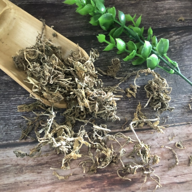 垂盆草一手货源干货质量保证正品中药材