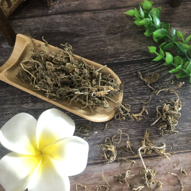 垂盆草一手货源干货质量保证正品中药材