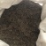 垂盆草一手货源干货质量保证正品中药材