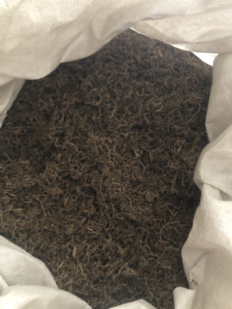 垂盆草一手货源干货质量保证正品中药材
