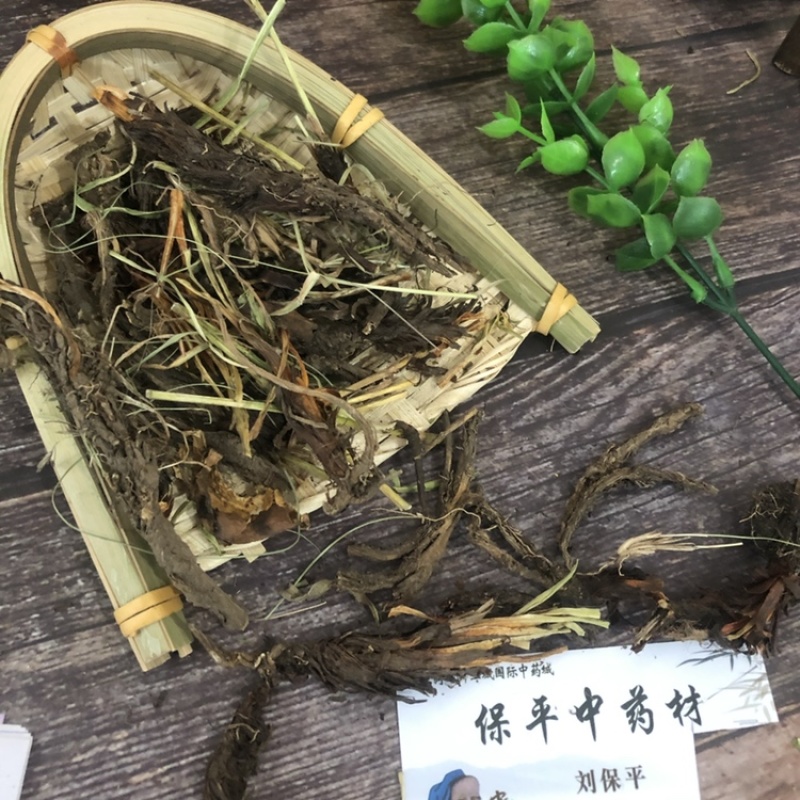 甘松质量保证产地货源批发各种中药材