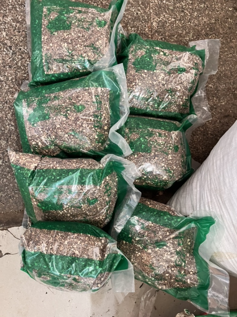 透骨草批发各种中药材质量保证各种草类齐全