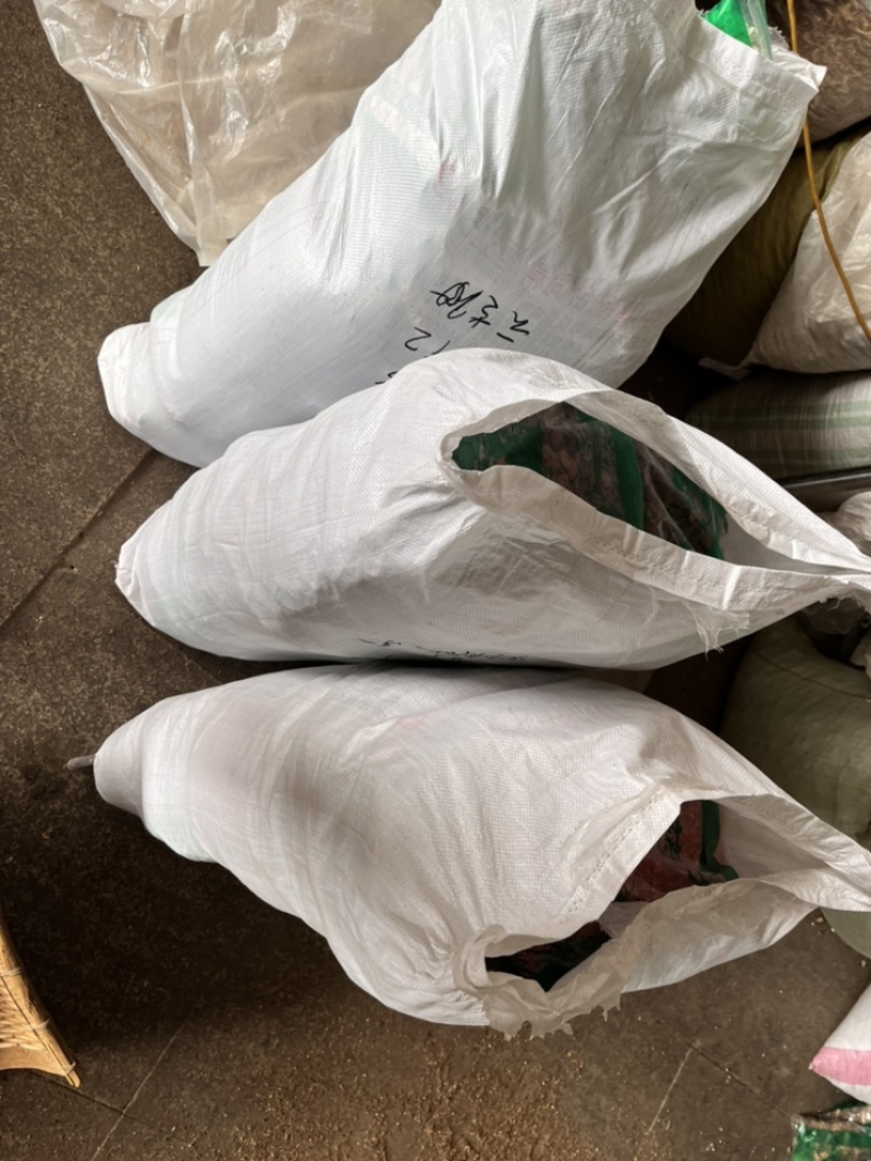透骨草批发各种中药材质量保证各种草类齐全