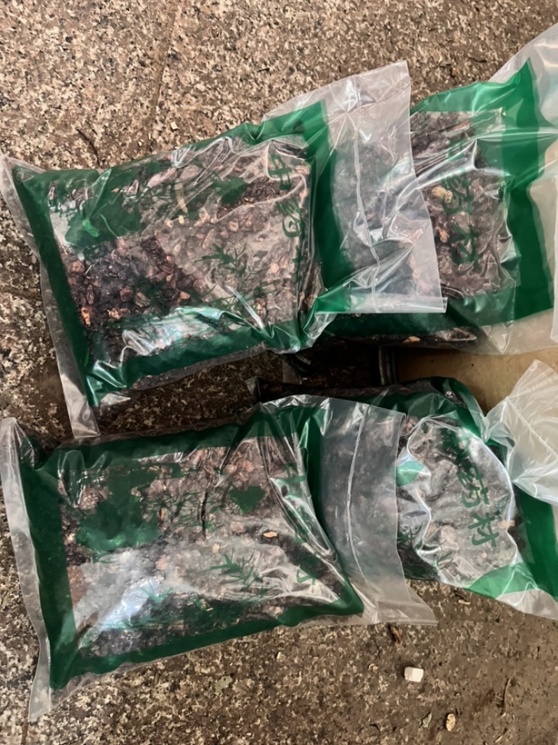 透骨草批发各种中药材质量保证各种草类齐全