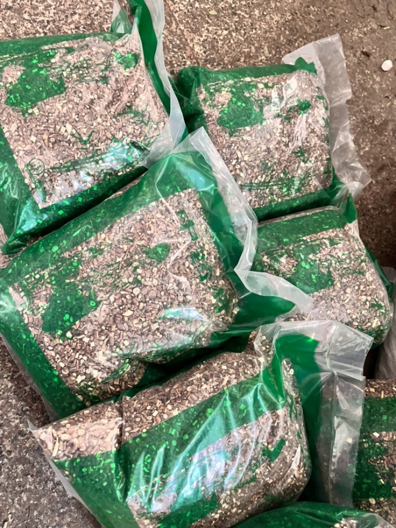 透骨草批发各种中药材质量保证各种草类齐全