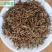 正宗桐木关红茶，金骏眉红茶浓香型（5g小袋装）（无修图）