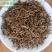 正宗桐木关红茶，金骏眉红茶浓香型（5g小袋装）（无修图）