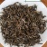 正宗桐木关红茶，金骏眉果香型，金骏眉5g小袋装（无修图）