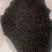 紫娟普洱生态、精品茶雲极岚荘、盛飨健康与您有约