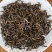 正宗桐木关红茶，金骏眉果香型，金骏眉5g小袋装（无修图）