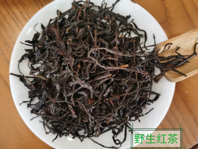 正宗桐木关红茶，金骏眉果香型，金骏眉5g小袋装（无修图）