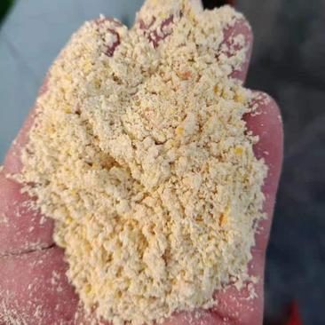 【热销】玉米次粉用于养殖厂添加饲料厂原料加工货源稳定欢迎