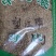 望江南冷背药材量大优惠欢迎选购2斤起包邮