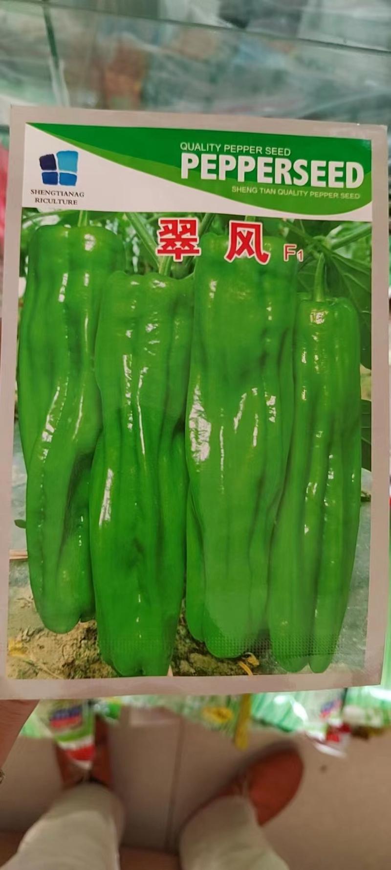 薄皮辣椒种子薄皮灯笼椒种子长灯笼椒种子苏椒种子渝椒13号