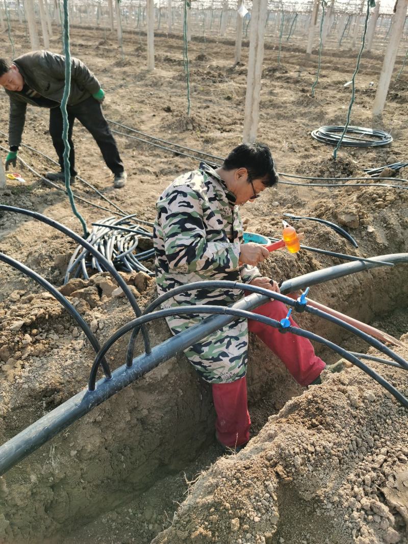 黑色PE滴灌管铺设简单出水均匀配套砂石过滤器