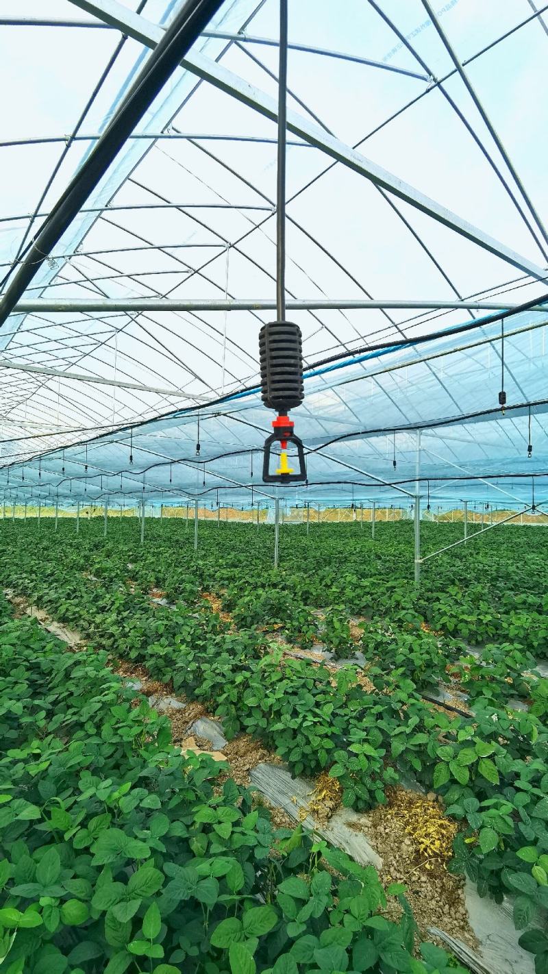 果树滴灌智能比例施肥机益农过滤施肥机滤净泥沙