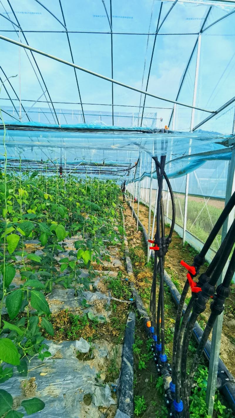 果树滴灌智能比例施肥机益农过滤施肥机滤净泥沙