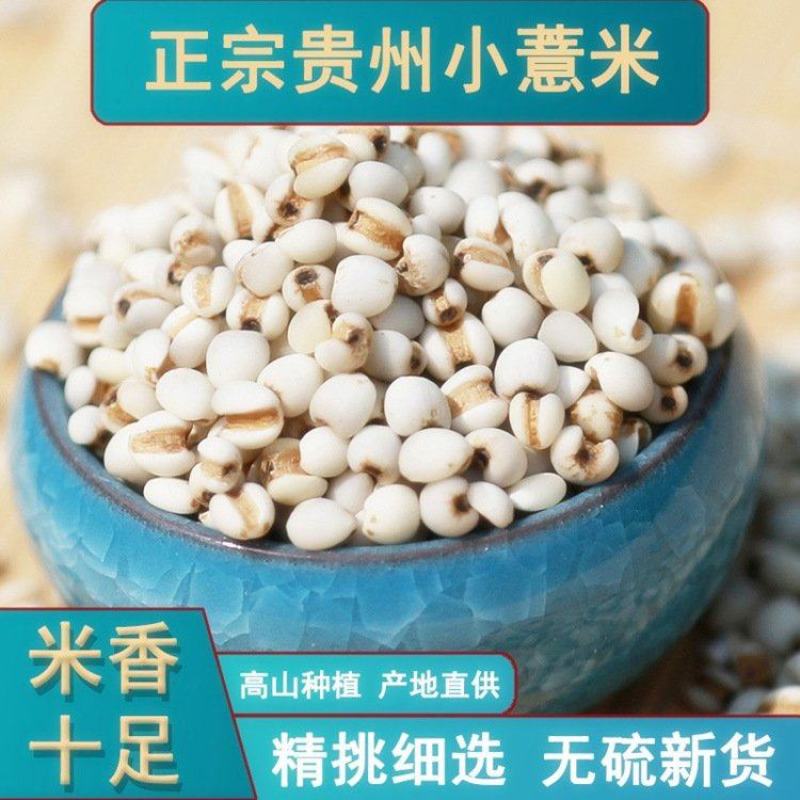 产地货源直供新货小薏米500g薏仁米中药材薏苡仁五谷杂粮