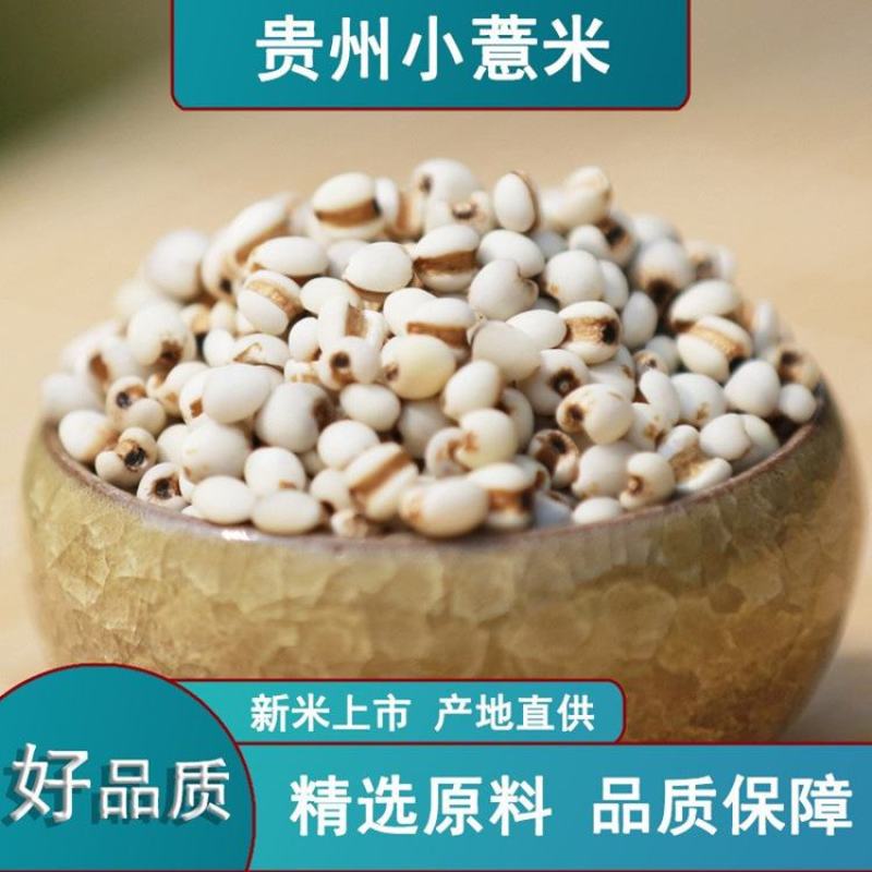 产地货源直供新货小薏米500g薏仁米中药材薏苡仁五谷杂粮