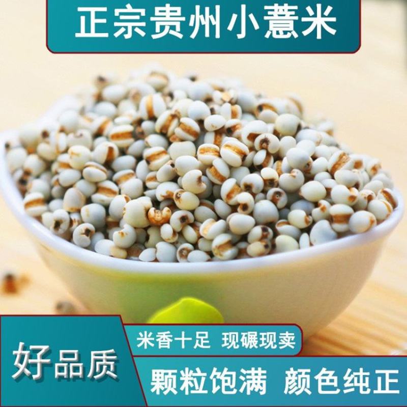 产地货源直供新货小薏米500g薏仁米中药材薏苡仁五谷杂粮