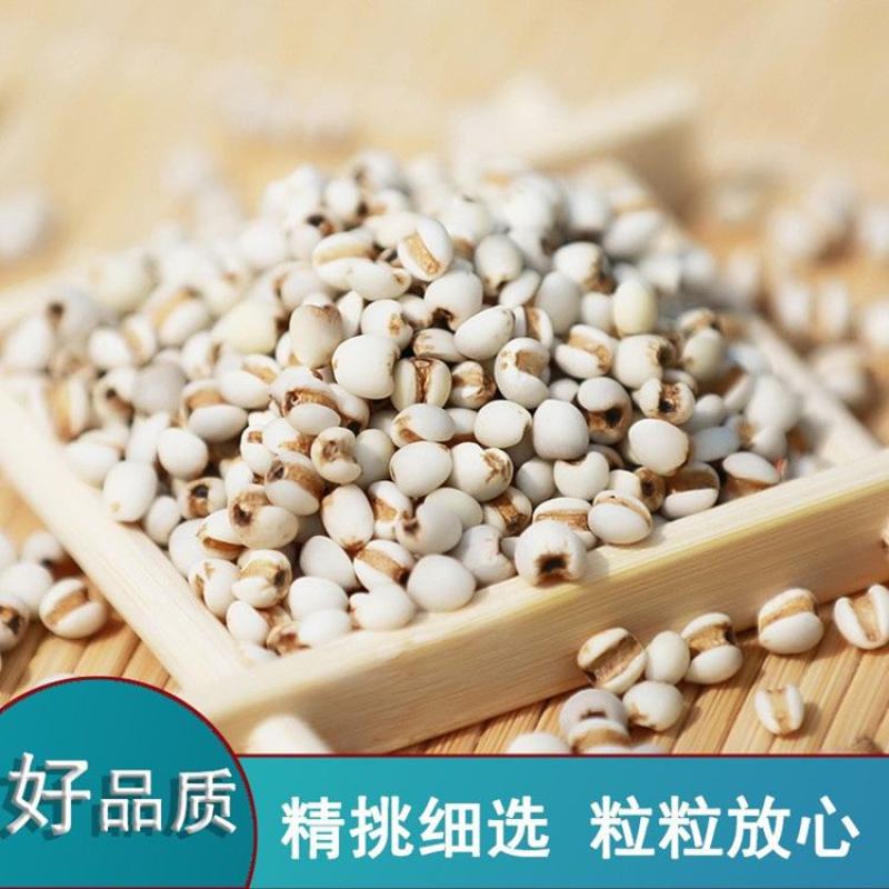 产地货源直供新货小薏米500g薏仁米中药材薏苡仁五谷杂粮