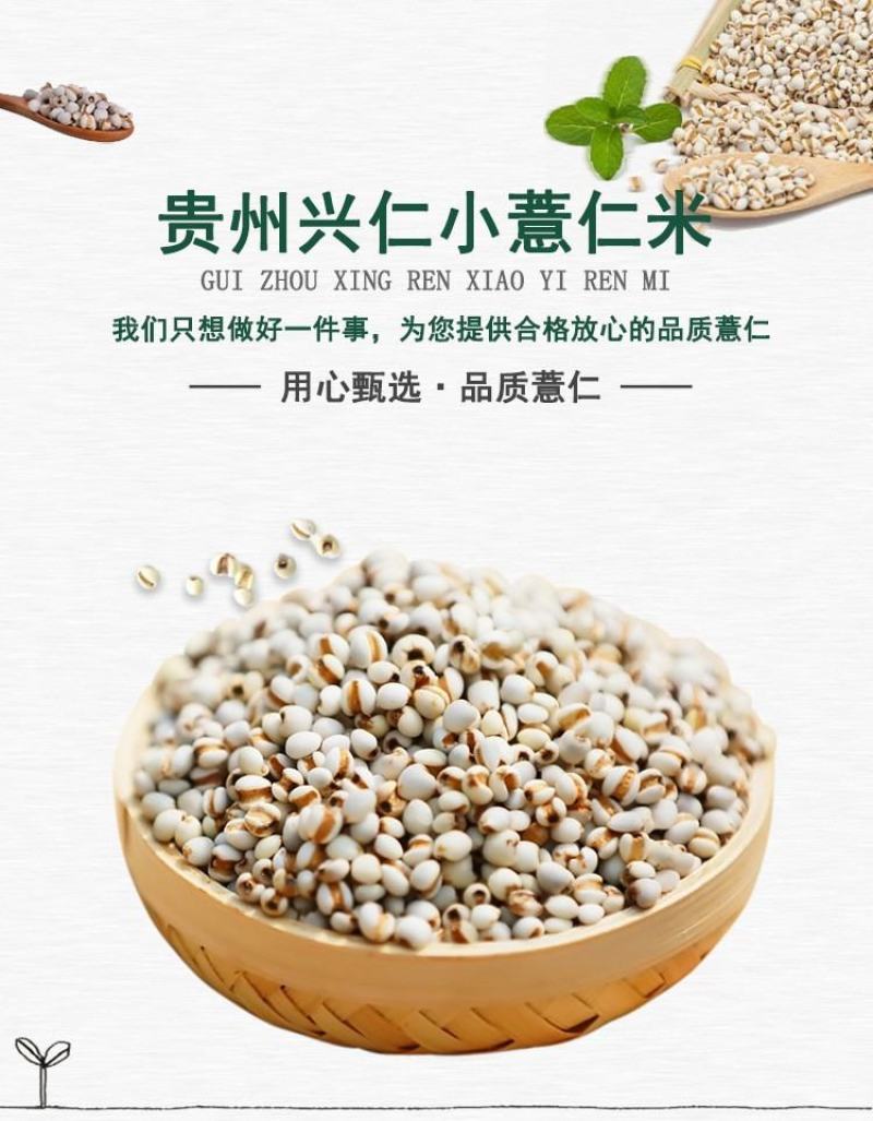 产地货源直供新货小薏米500g薏仁米中药材薏苡仁五谷杂粮