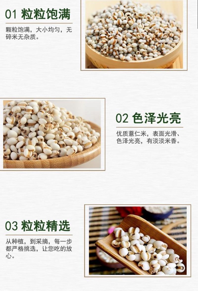 产地货源直供新货小薏米500g薏仁米中药材薏苡仁五谷杂粮