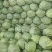 天天鲜优选好甘蓝大量有货有需要货的老板可以下单了