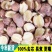 开边红莲子干货去芯无硫半边莲干货红皮莲带芯湖南湘潭碎莲子