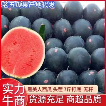 无籽西瓜湖北西瓜量大从优产地一手货源
