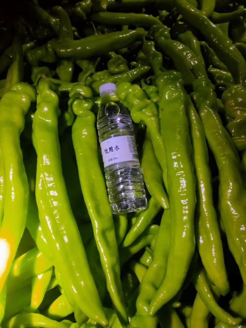 【推荐】黄皮辣椒产区直供货源充足量大从优视频看货全国发货