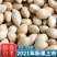 2024年新鲜白果子银杏果生百果仁无漂白带壳白果批发徐州