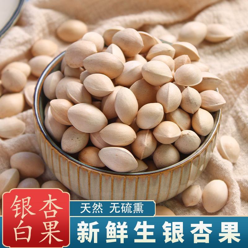 2024年新鲜白果子银杏果生百果仁无漂白带壳白果批发徐州
