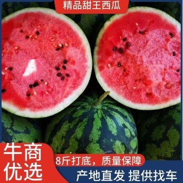 新民甜王西瓜大棚甜王今日价格产地直发可视频看货