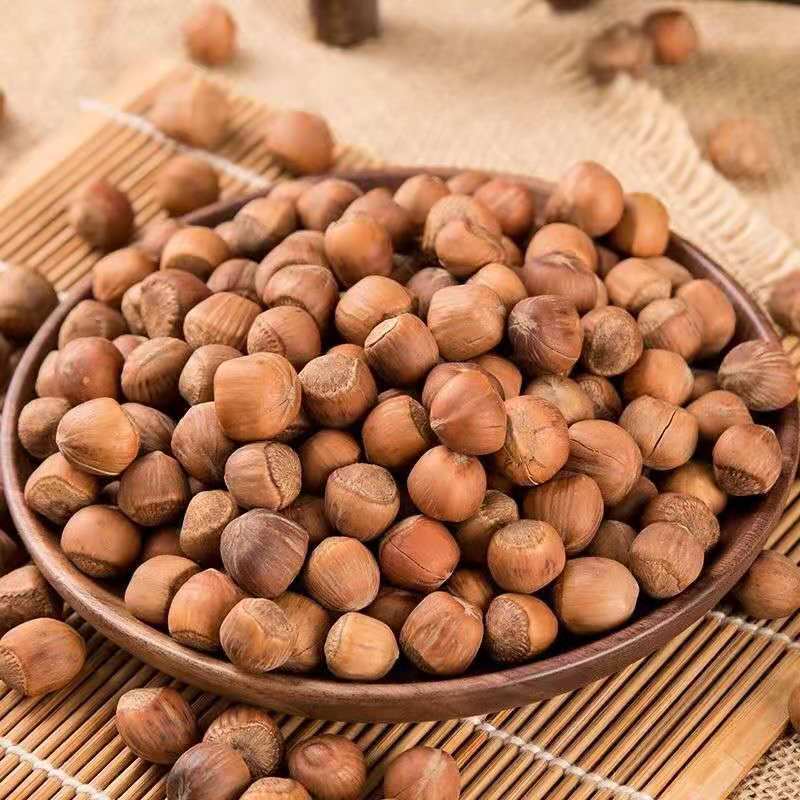 新货东北野山小榛子铁岭特产薄皮原味坚果炒熟新鲜大榛子批发