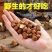 新货东北野山小榛子铁岭特产薄皮原味坚果炒熟新鲜大榛子批发