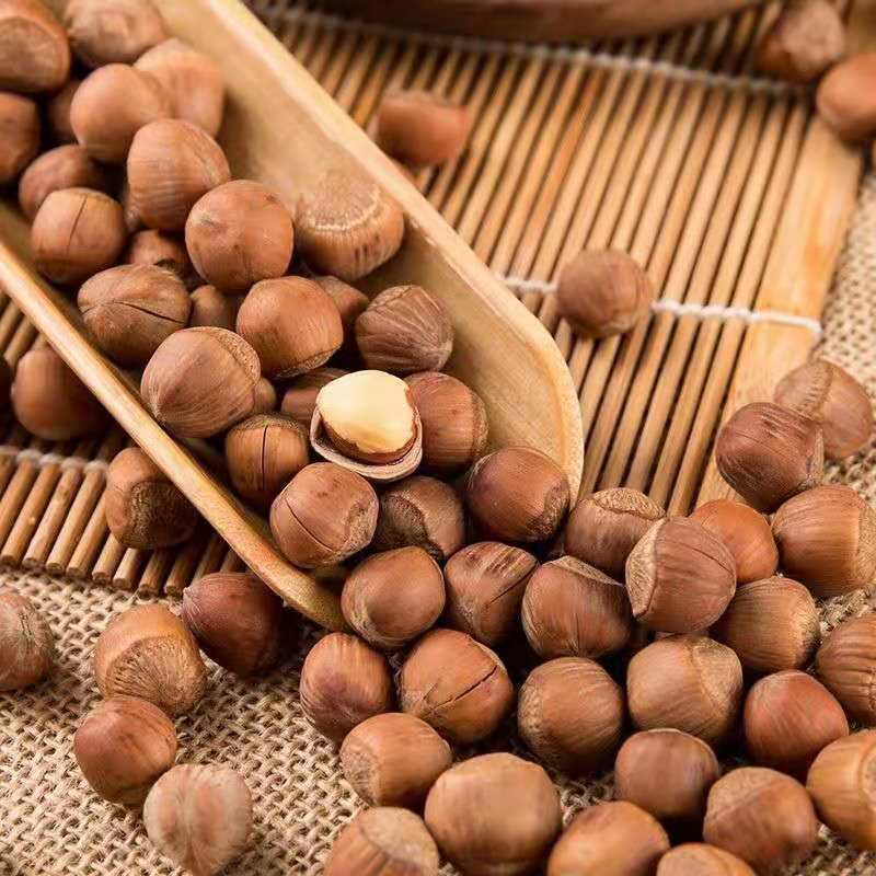 新货东北野山小榛子铁岭特产薄皮原味坚果炒熟新鲜大榛子批发
