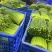 【推荐】广东韭菜一手货源可视频看货品种齐全欢迎来电