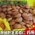 苦杏仁新货承德药用中药材山北杏仁坚果原味生的新鲜包邮