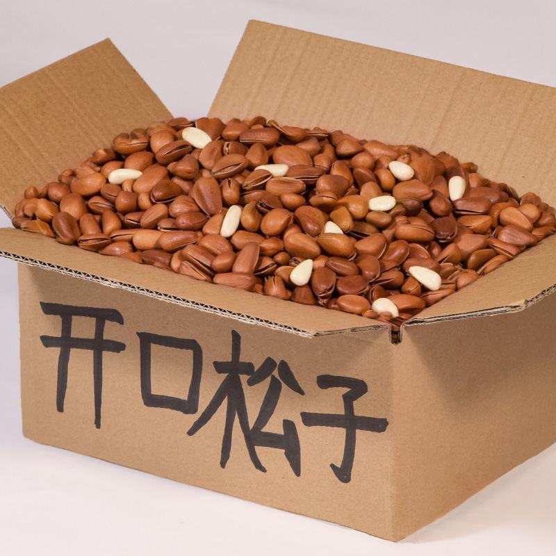 新货东北松子500g含罐重特颗粒袋装开口红松子原味红松子