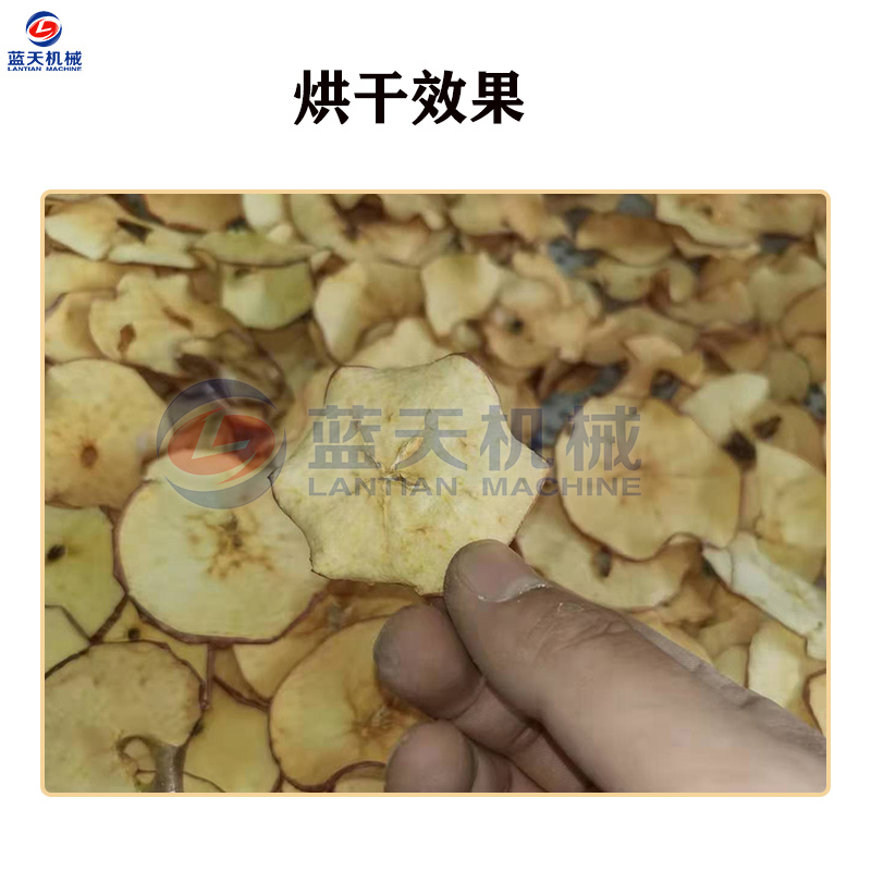苹果片烘干机小型平安果烘干箱超凡子智慧果平波干燥机