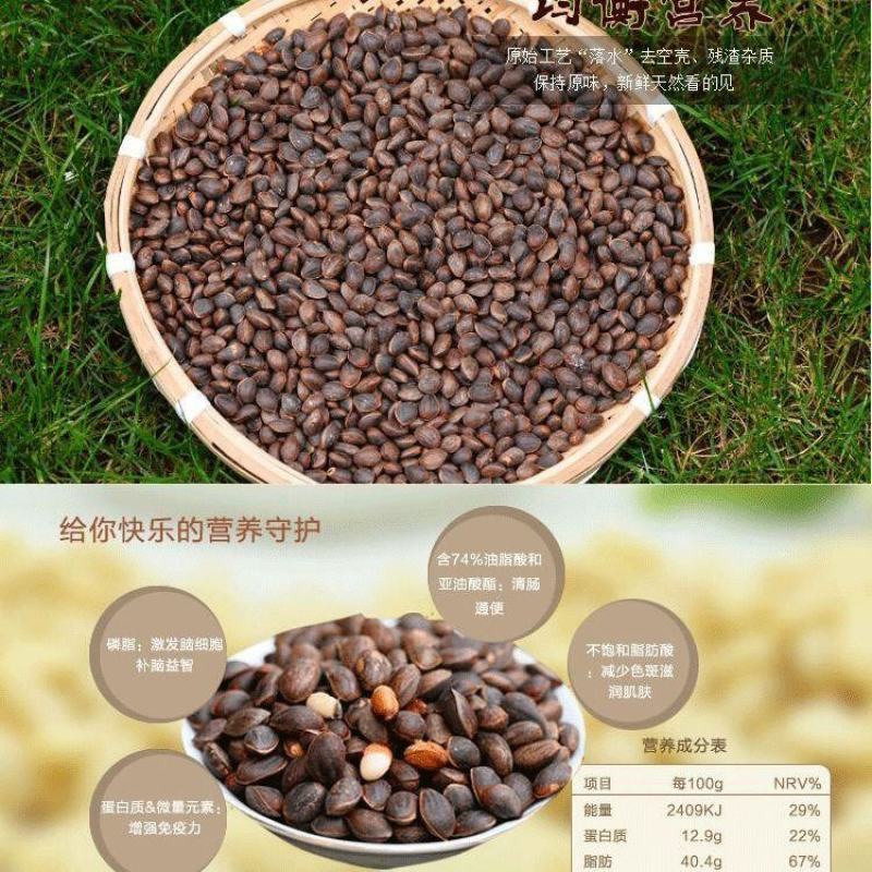 华山松子宠物松鼠雪地金华主粮大眼飞鼠粮食补充微量元素松子