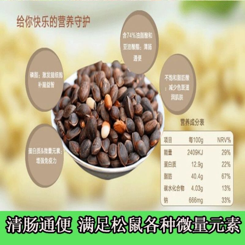 华山松子宠物松鼠雪地金华主粮大眼飞鼠粮食补充微量元素松子