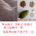 华山松子宠物松鼠雪地金华主粮大眼飞鼠粮食补充微量元素松子